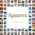 Squares Logo